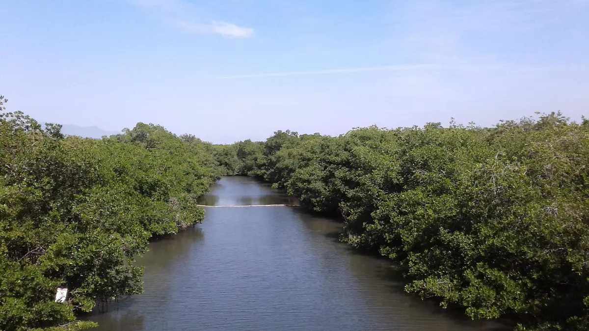 Estero El Salado